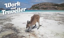 Starterpaket Australien